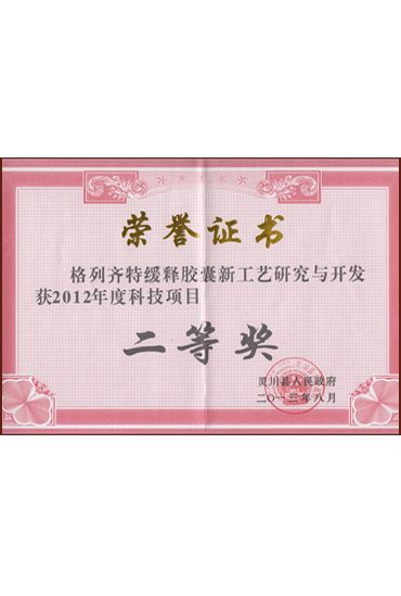 新工藝研究與開發(fā)二等獎(jiǎng)