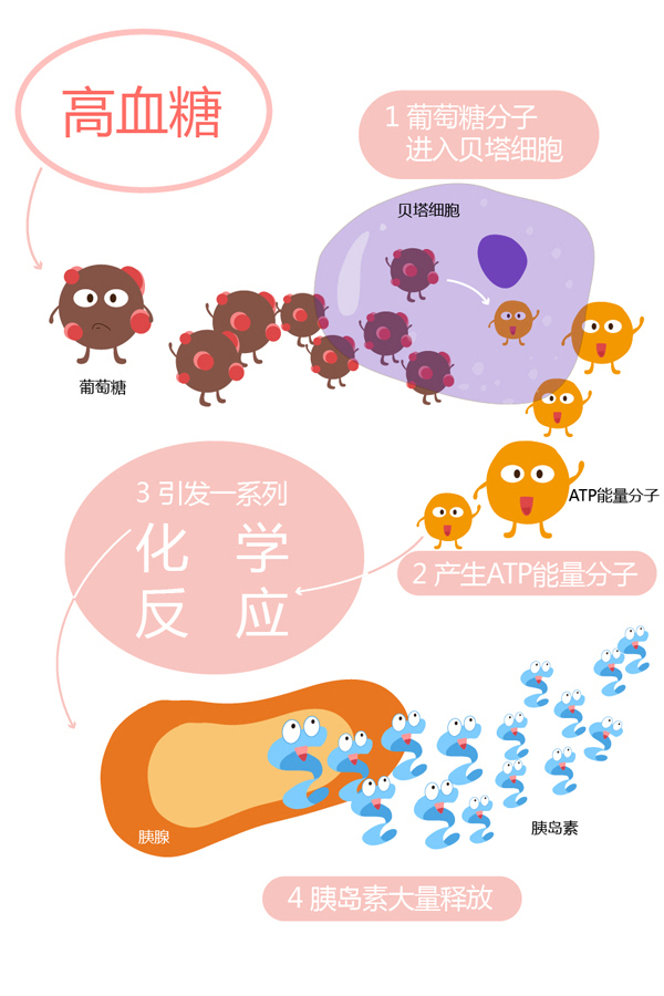 血糖實(shí)時(shí)監(jiān)測系統(tǒng)