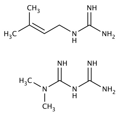 兩種胍類(lèi)小分子，山羊豆堿（上）和二甲雙胍（下）