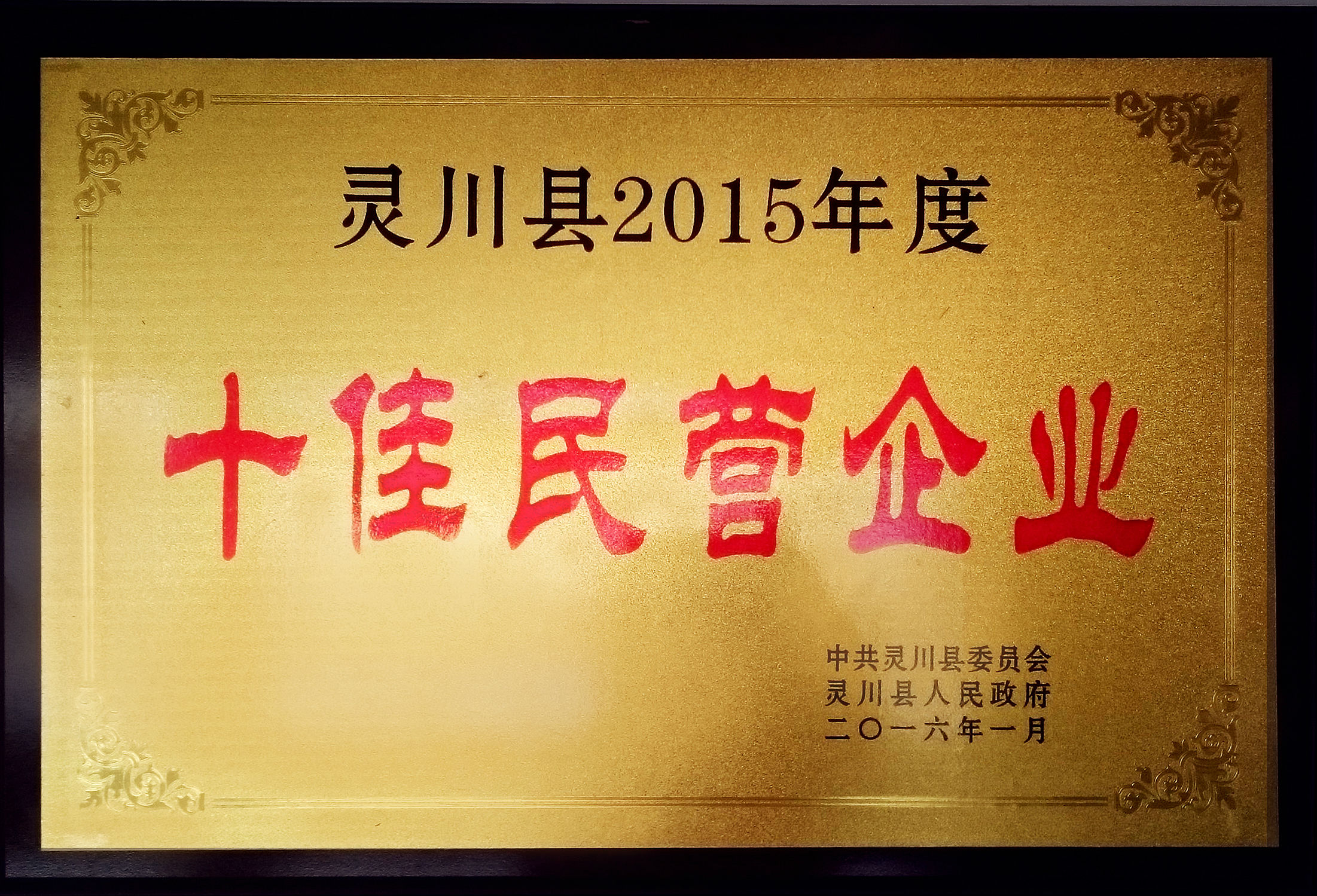 桂林華信制藥榮獲十佳民營企業